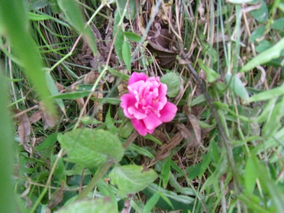 20100520 086.jpg