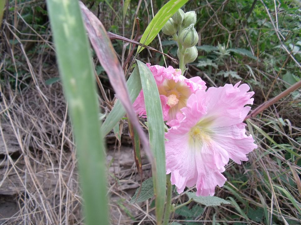 20100520 084.jpg