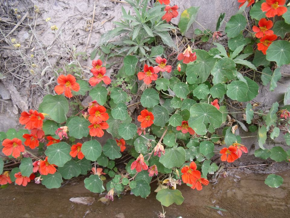 20100520 081.jpg
