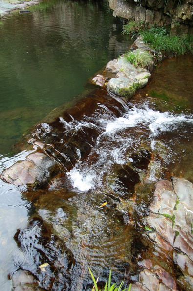 �żҽ��ӹ� 257_��С��С.jpg