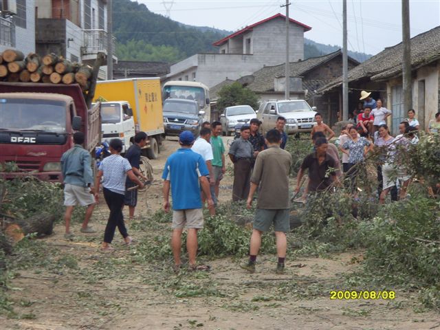 SDC11565.JPG