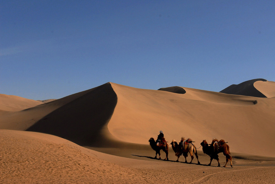 12.ɳĮ֮��.jpg