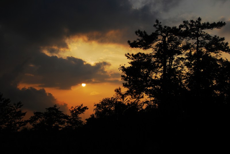 DSC_0345.jpg