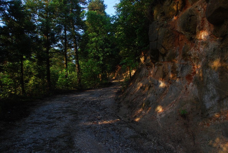 DSC_0421.JPG