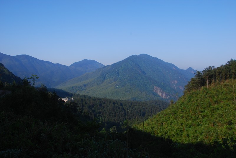 DSC_0470.JPG