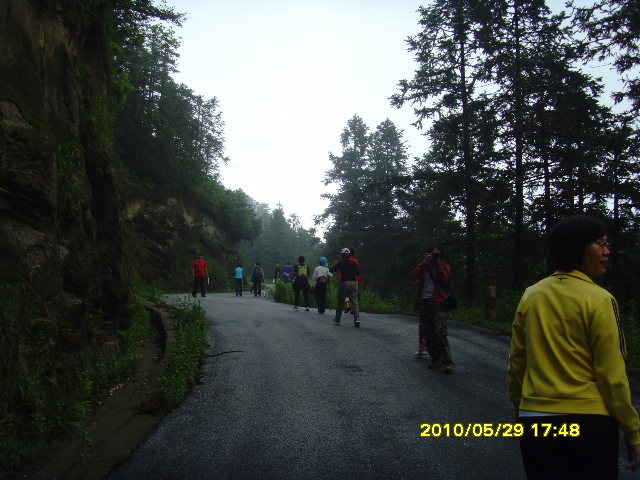 SNV32626.JPG