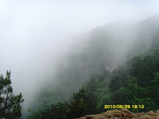 SNV32638.JPG