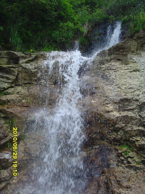 SNV32641.JPG