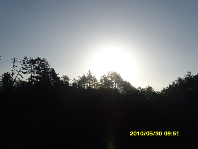 SNV32685.JPG