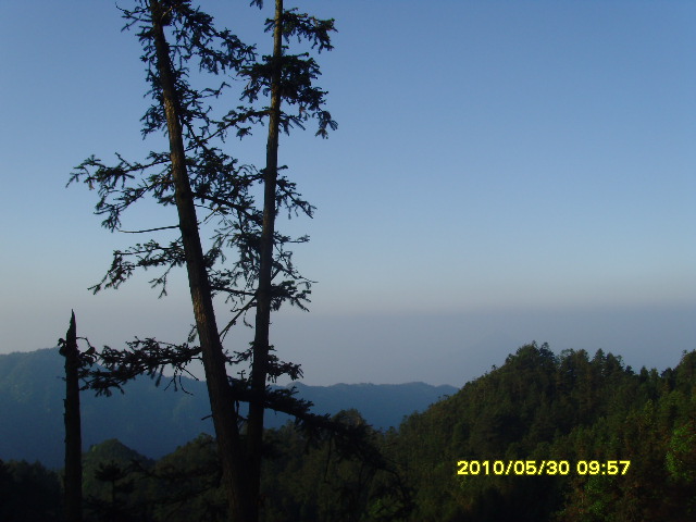 SNV32690.JPG