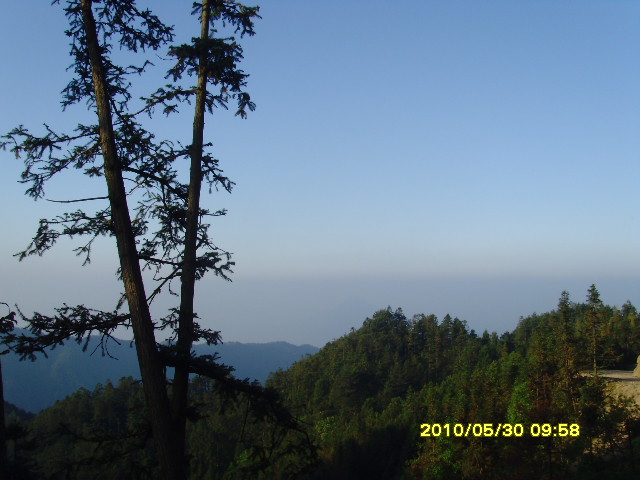 SNV32691.JPG