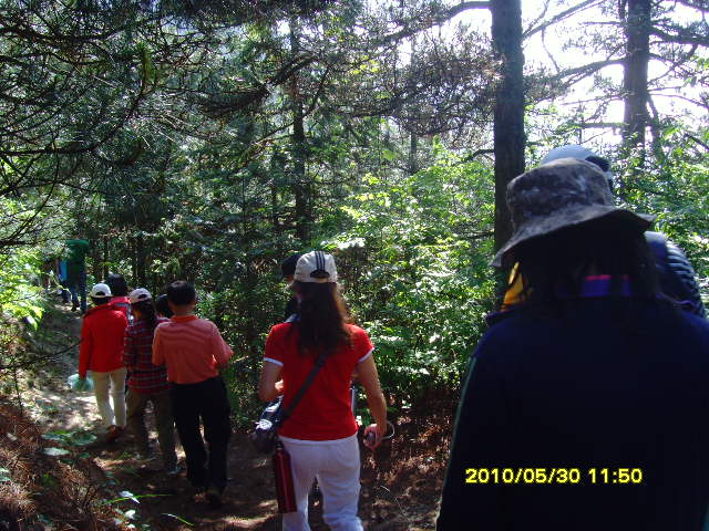 SNV32712.JPG