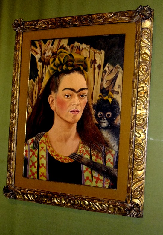 DSCF0481(001).jpg
