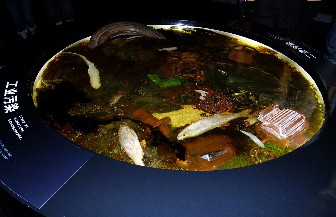 DSCF0619.jpg
