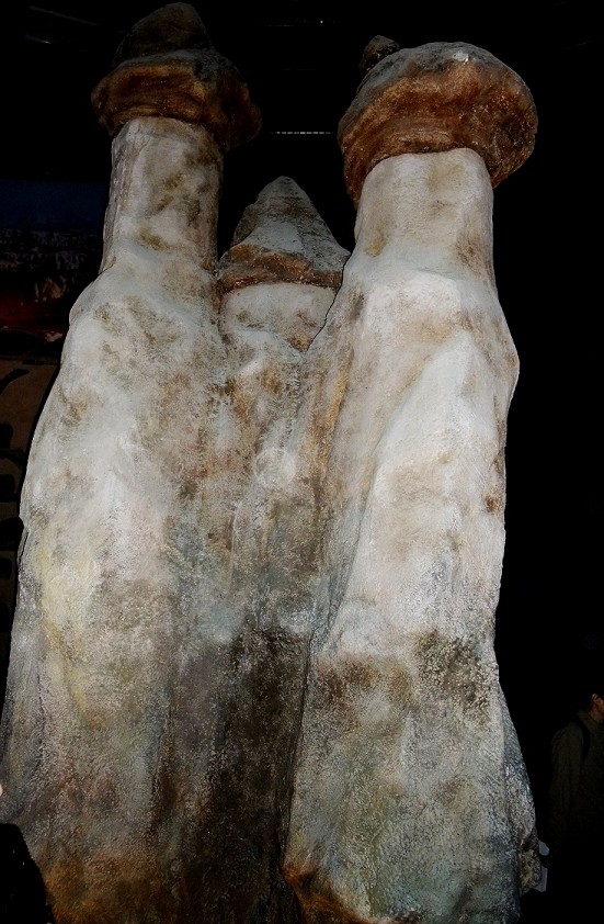 DSCF0806(001).jpg