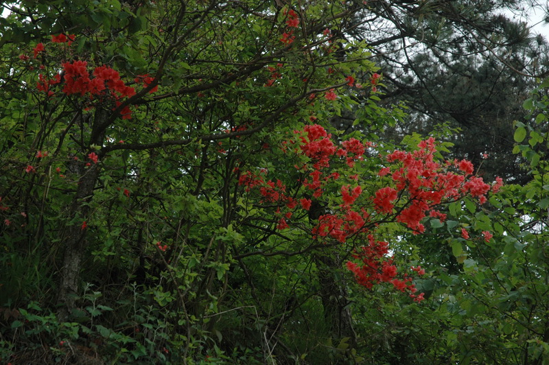 DSC_6825_������С.jpg