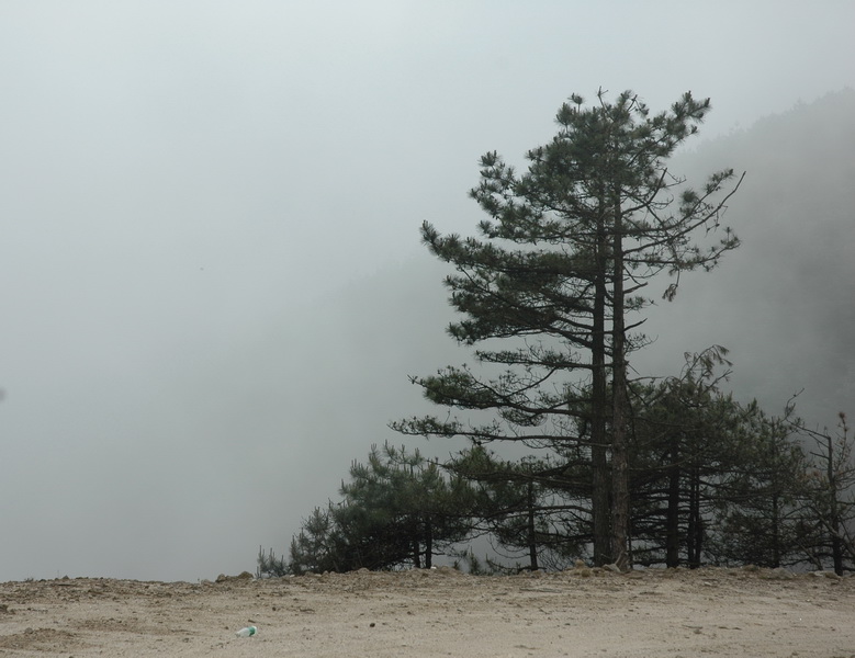 DSC_6901_������С.jpg
