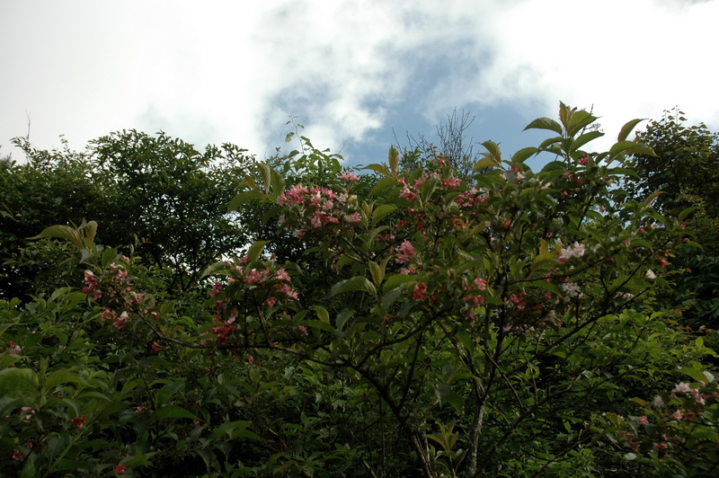 DSC_6942_������С.jpg