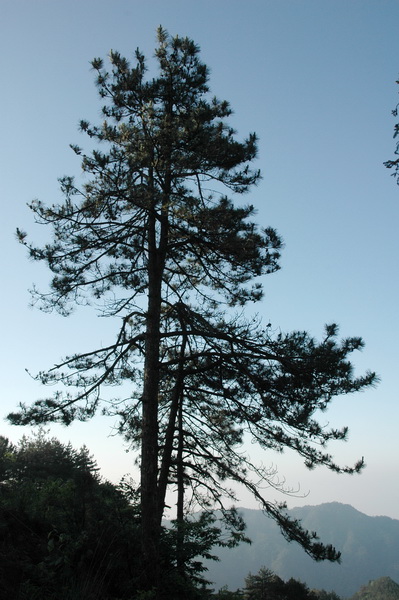 DSC_7092_������С.jpg