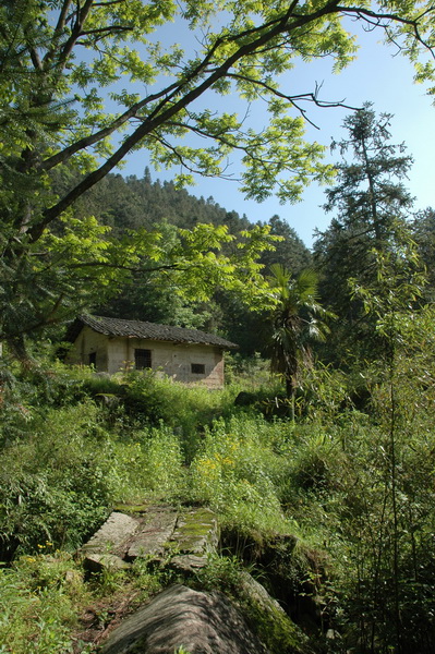DSC_7386_������С.JPG