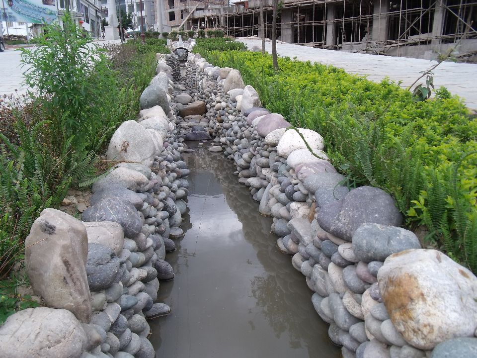 20100520 026.jpg