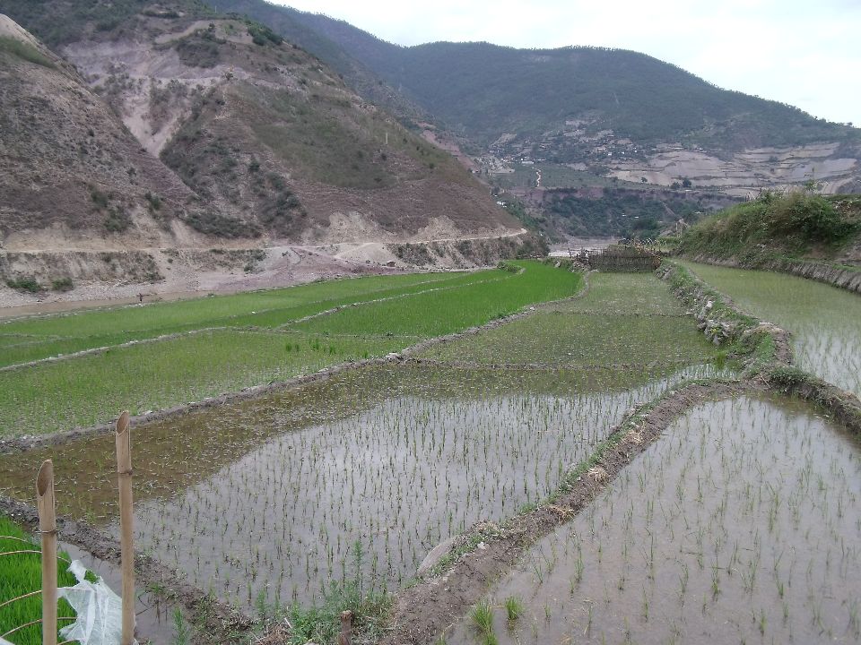 20100523 008.jpg
