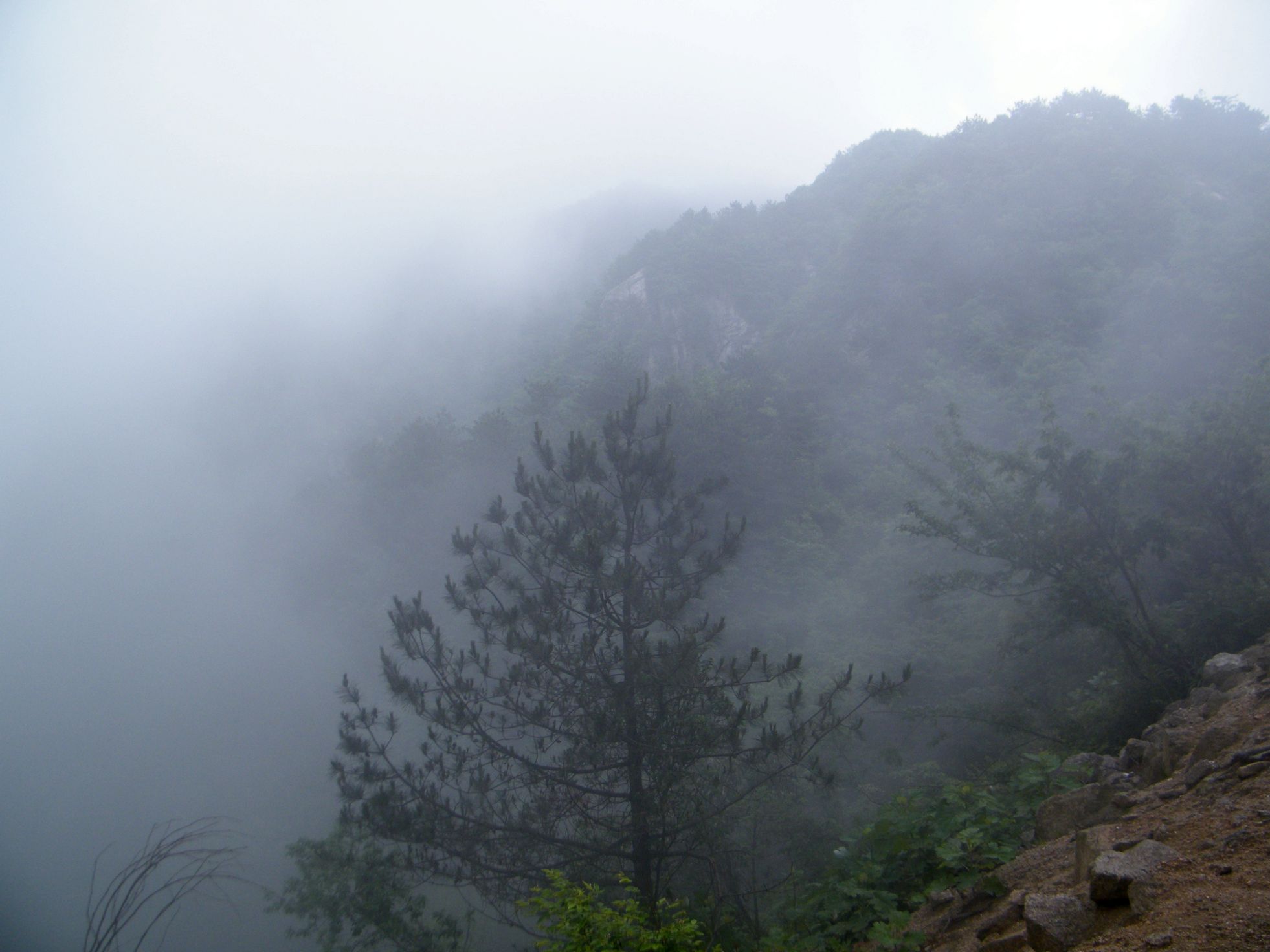 DSCF0045.JPG