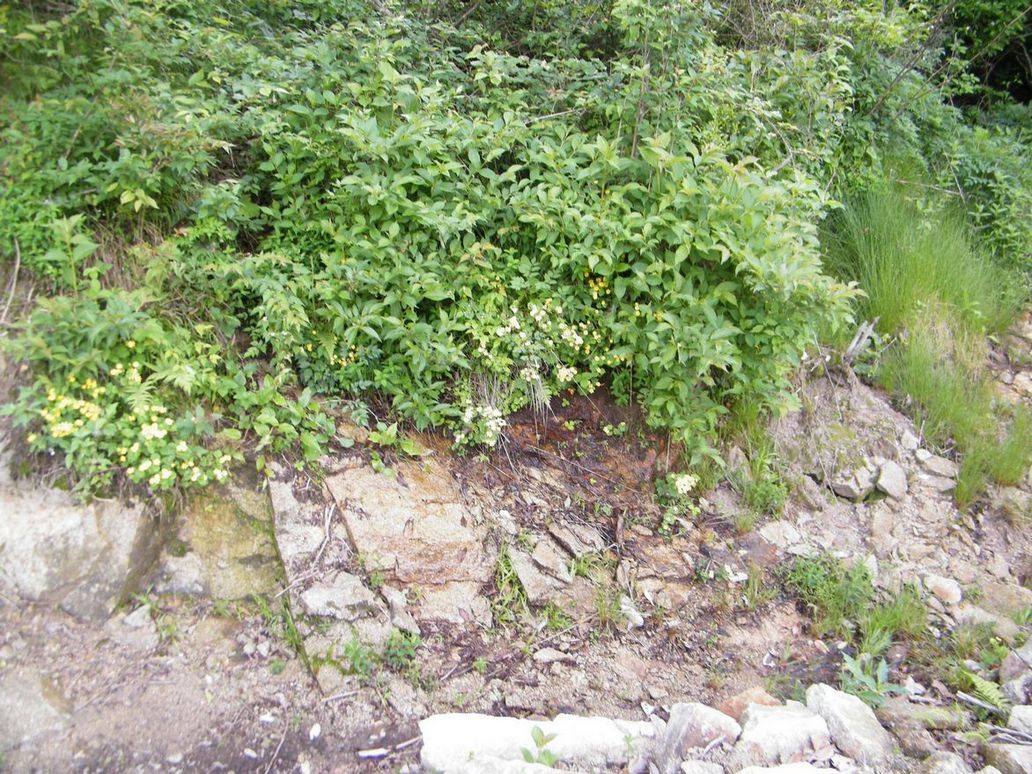 DSCF0056.JPG
