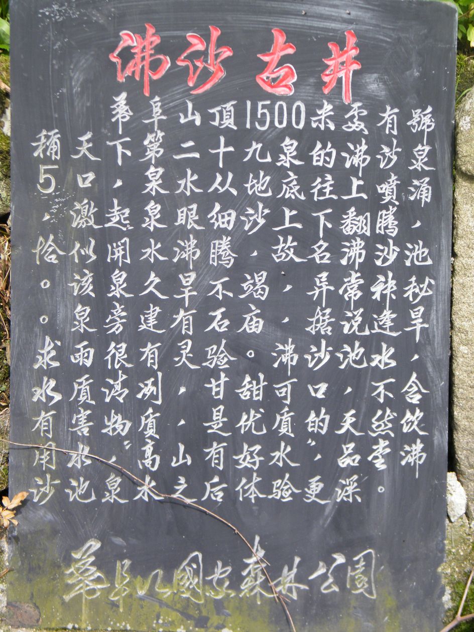 DSCF0061.JPG