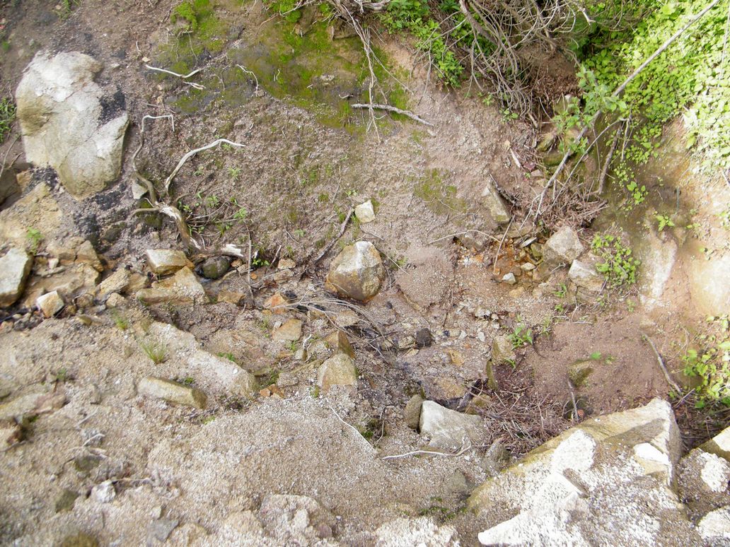 DSCF0086.JPG
