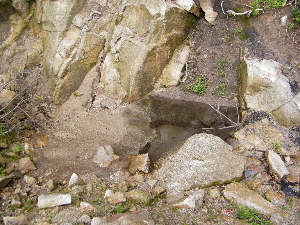 DSCF0087.JPG