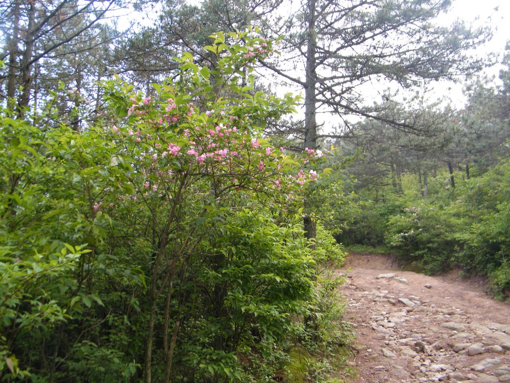 DSCF0094.JPG