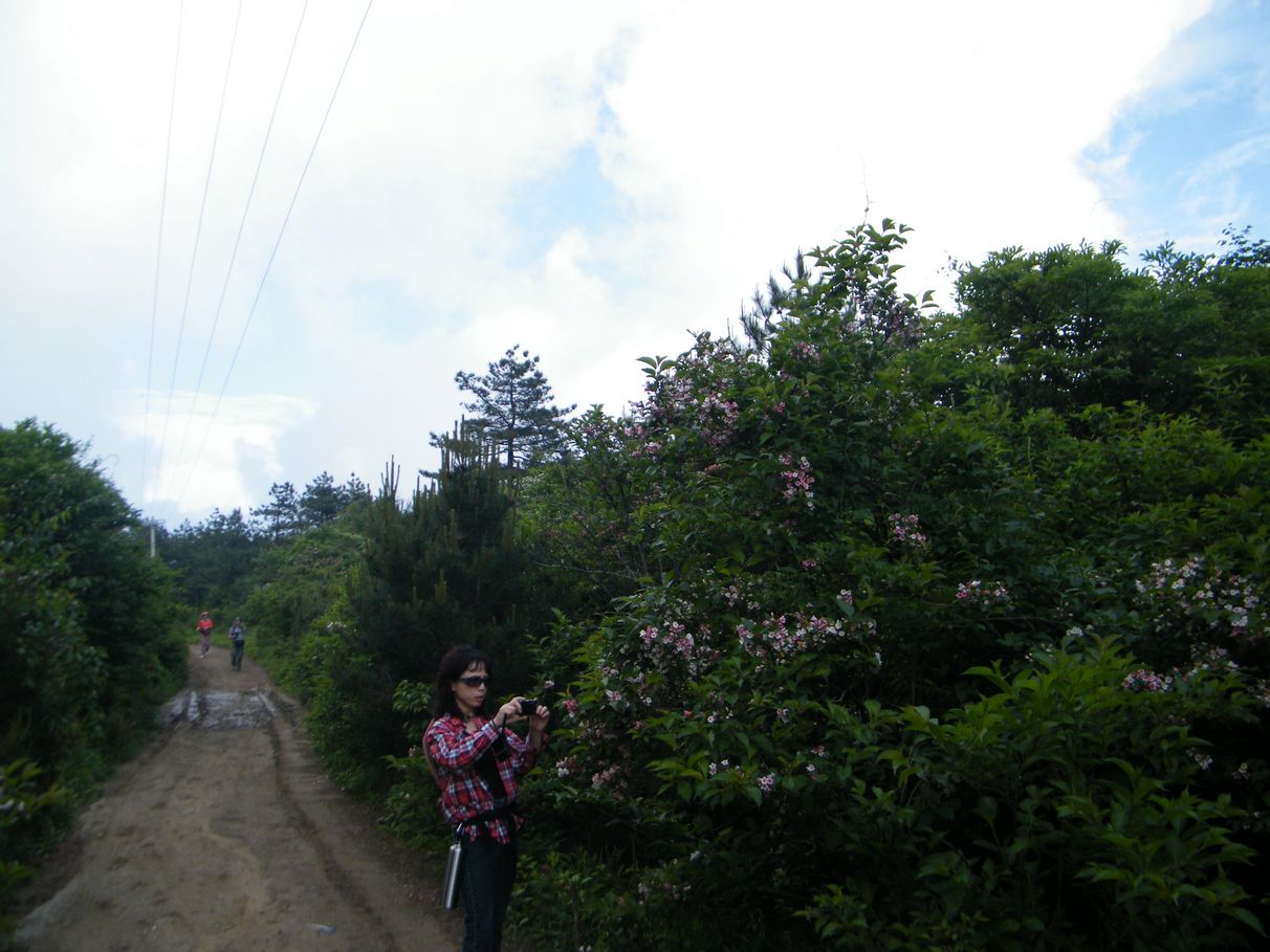 DSCF0097.JPG