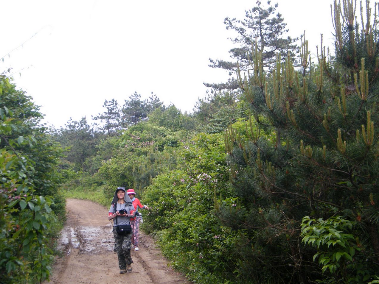 DSCF0098.JPG
