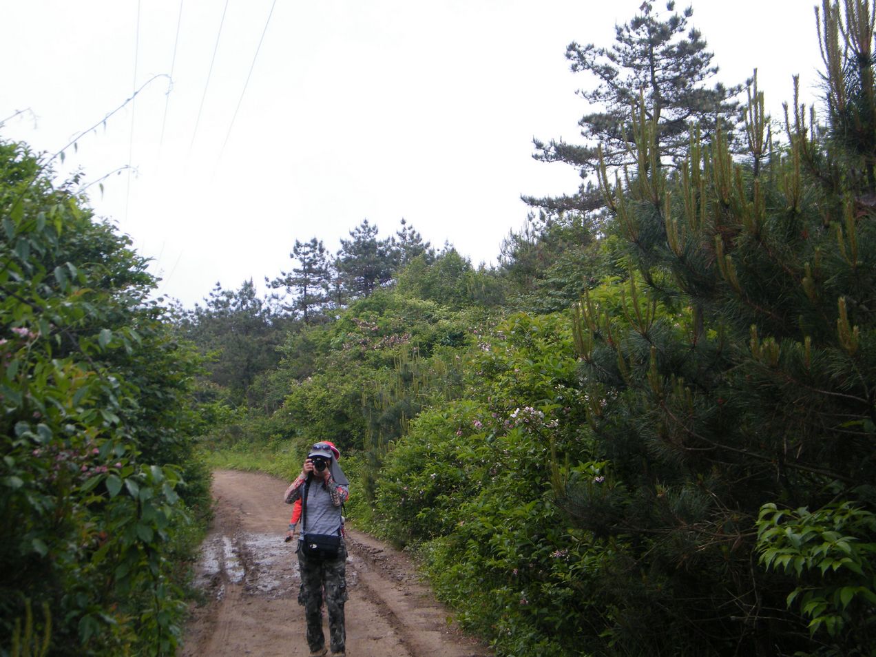 DSCF0099.JPG