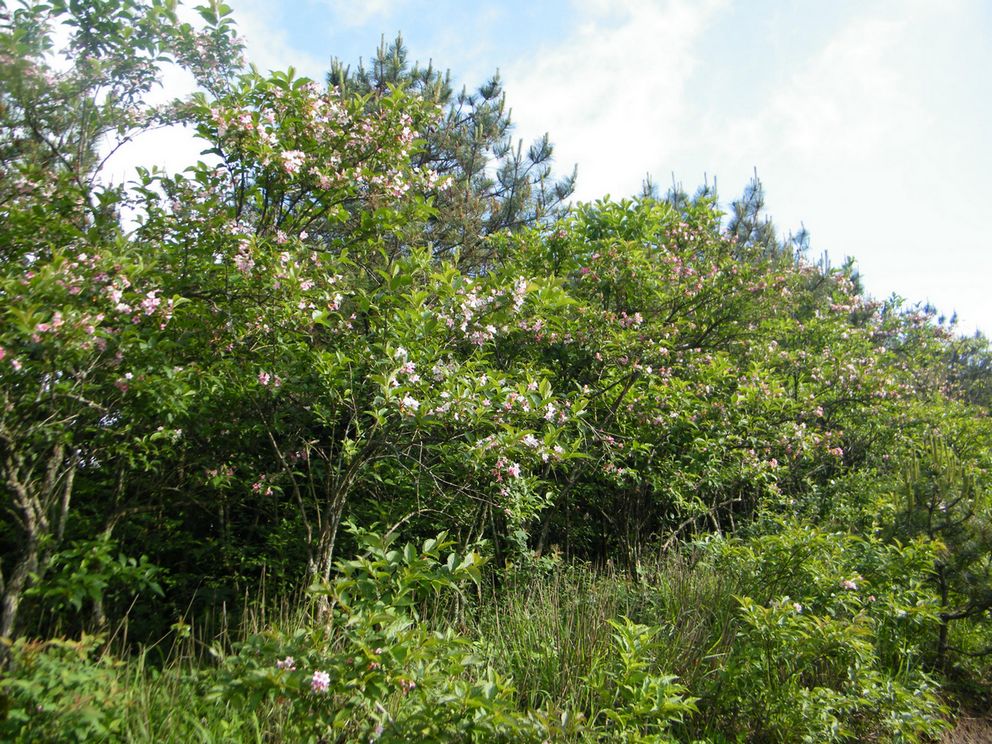 DSCF0108.JPG