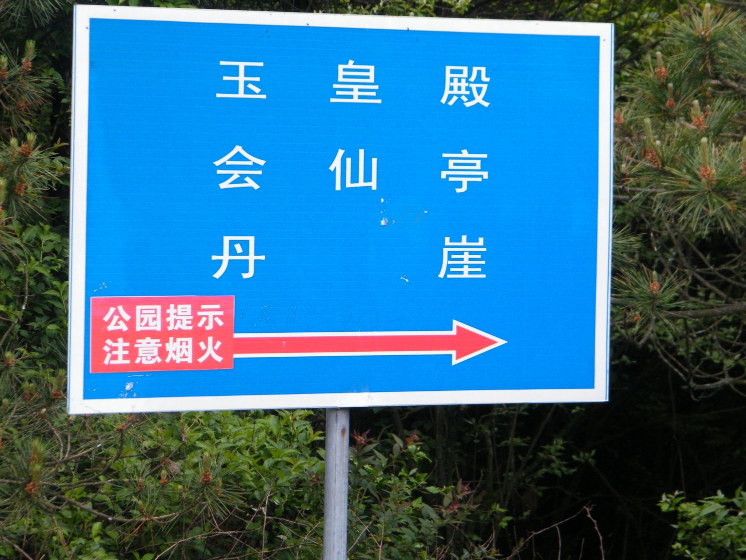 DSCF0114.JPG