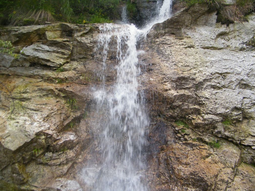 DSCF0175.JPG