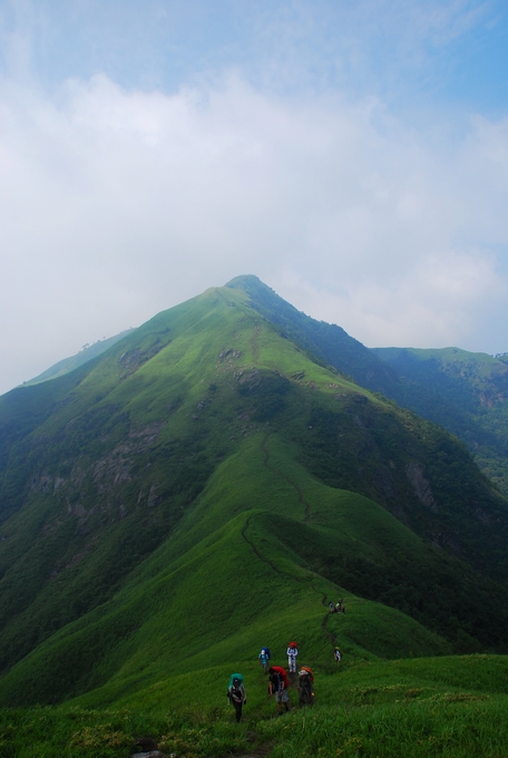 DSC_0713.jpg