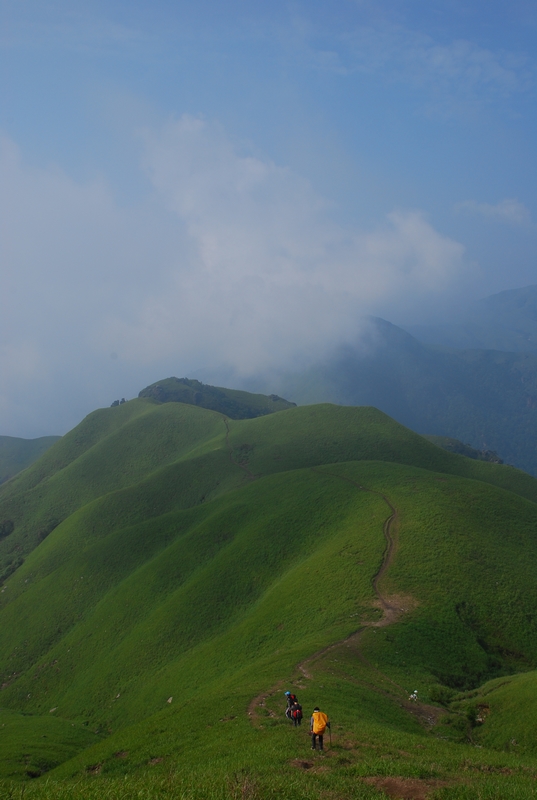DSC_0646.jpg