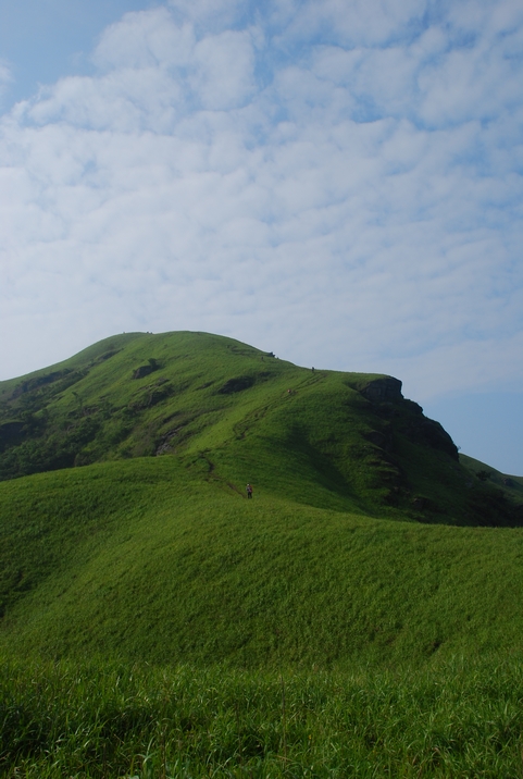 DSC_0620.jpg