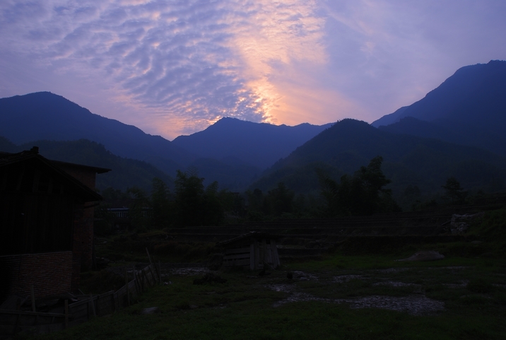 DSC_0005.jpg
