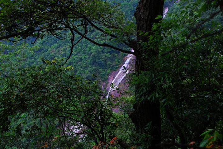 DSC_0061.jpg