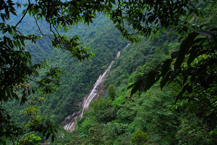 DSC_0067.jpg