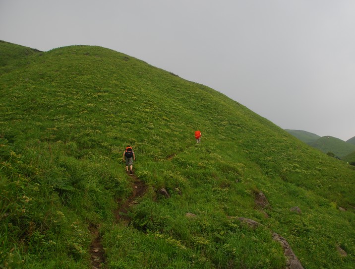 DSC_0170.jpg