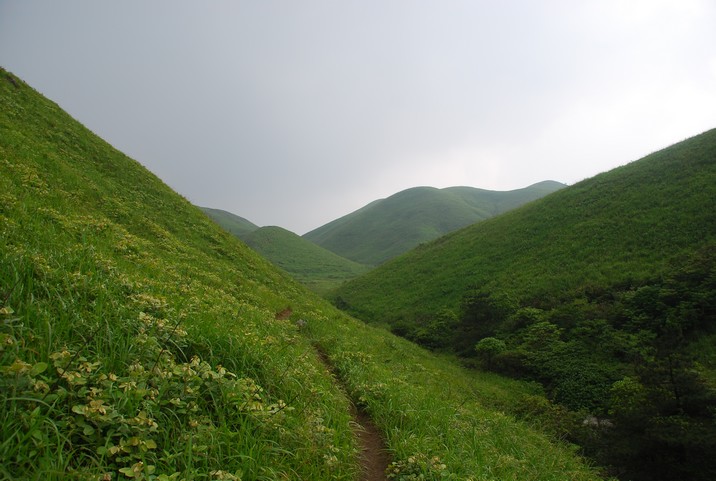 DSC_0174.jpg