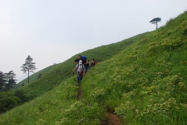 DSC_0177.jpg