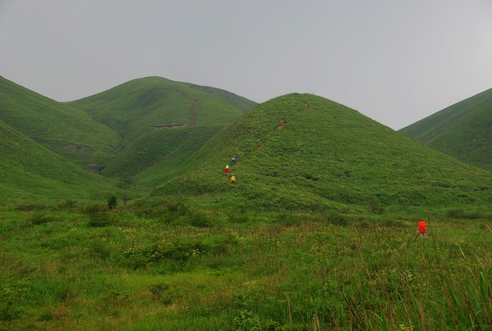 DSC_0184.jpg