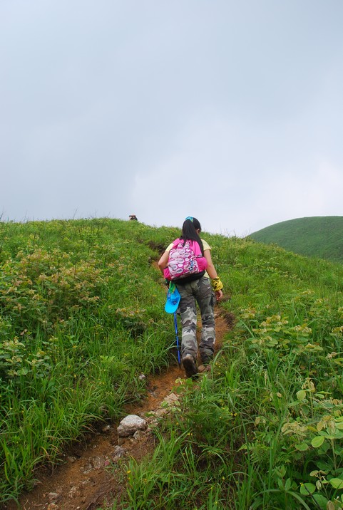 DSC_0198.jpg