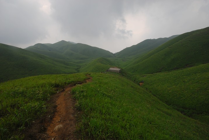 DSC_0240.jpg